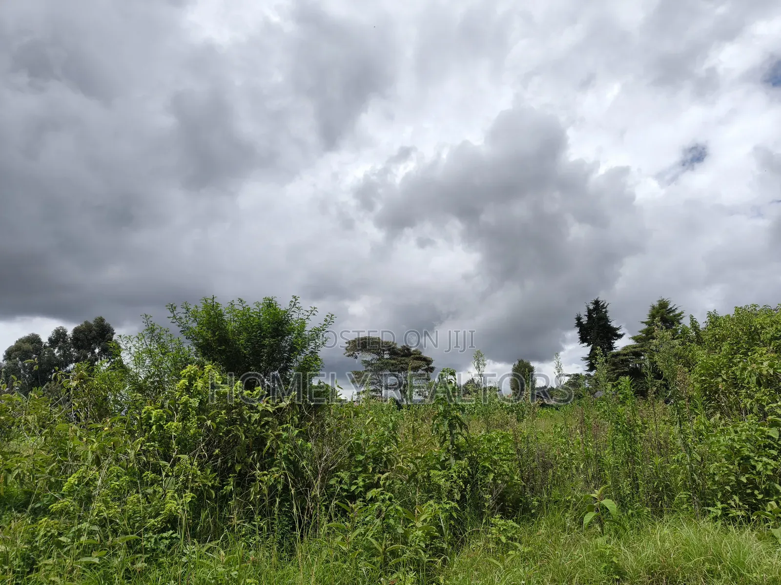 Quarter Acre Plot in Ngong, Kahara Near the Main Road in Ngong
