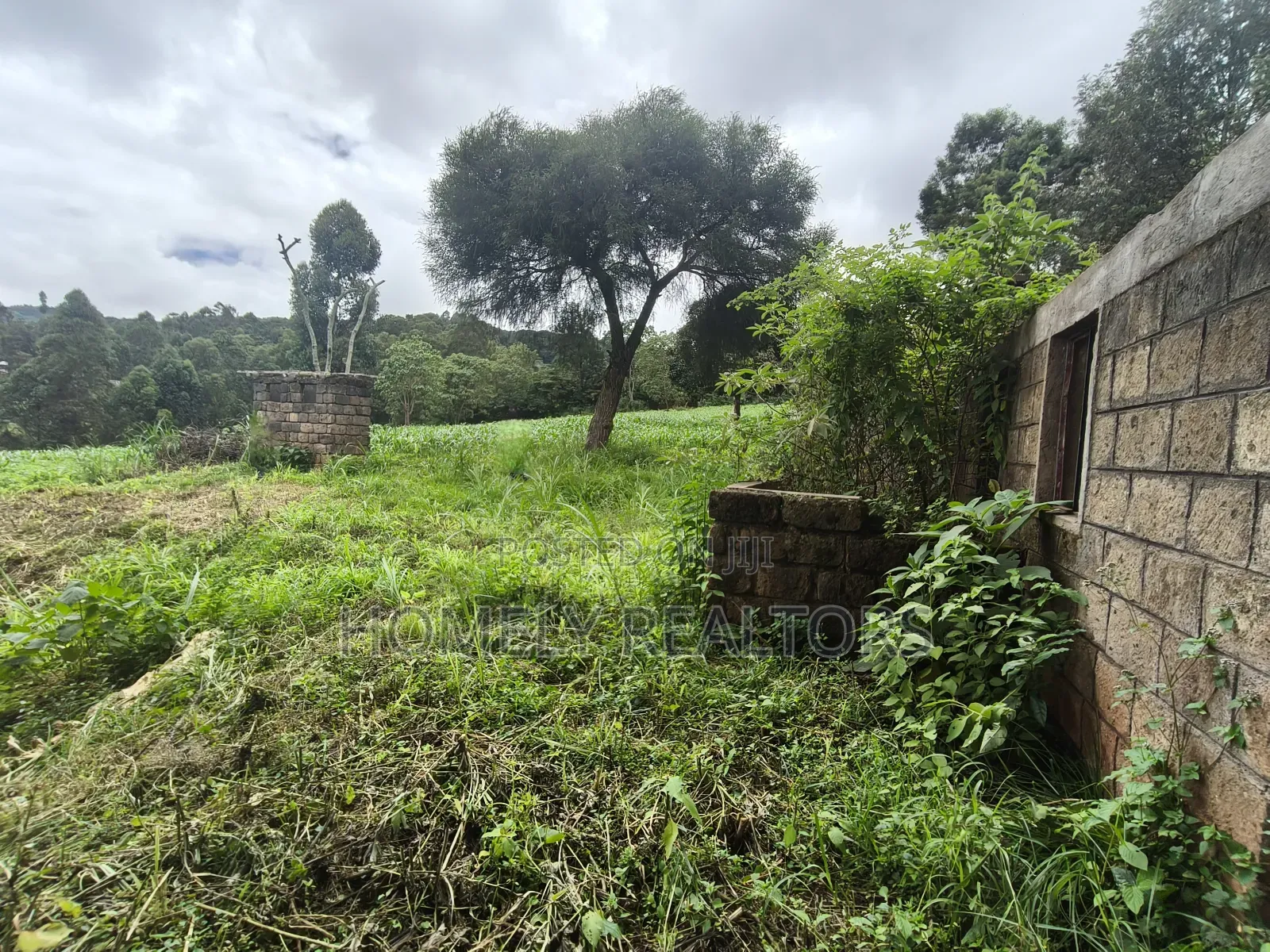 5 Acres of Fertile Farmland in Ngong, Kahara, Upper Matasia in Ngong