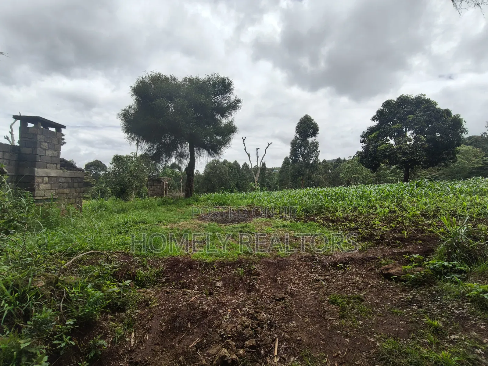 5 Acres of Fertile Farmland in Ngong, Kahara, Upper Matasia in Ngong