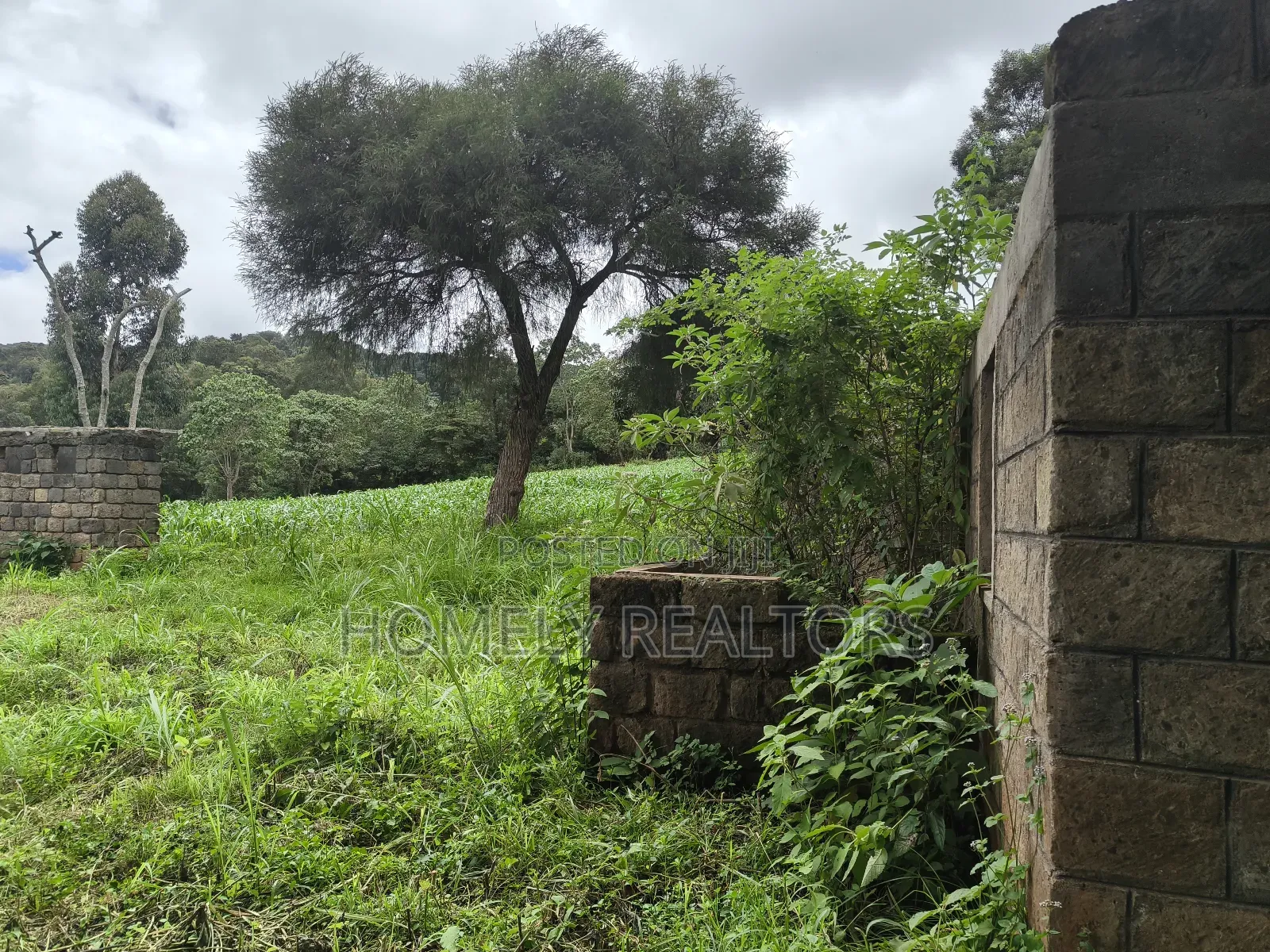 5 Acres of Fertile Farmland in Ngong, Kahara, Upper Matasia in Ngong