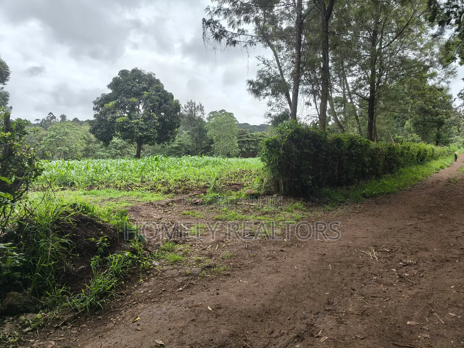 5 Acres of Fertile Farmland in Ngong, Kahara, Upper Matasia in Ngong
