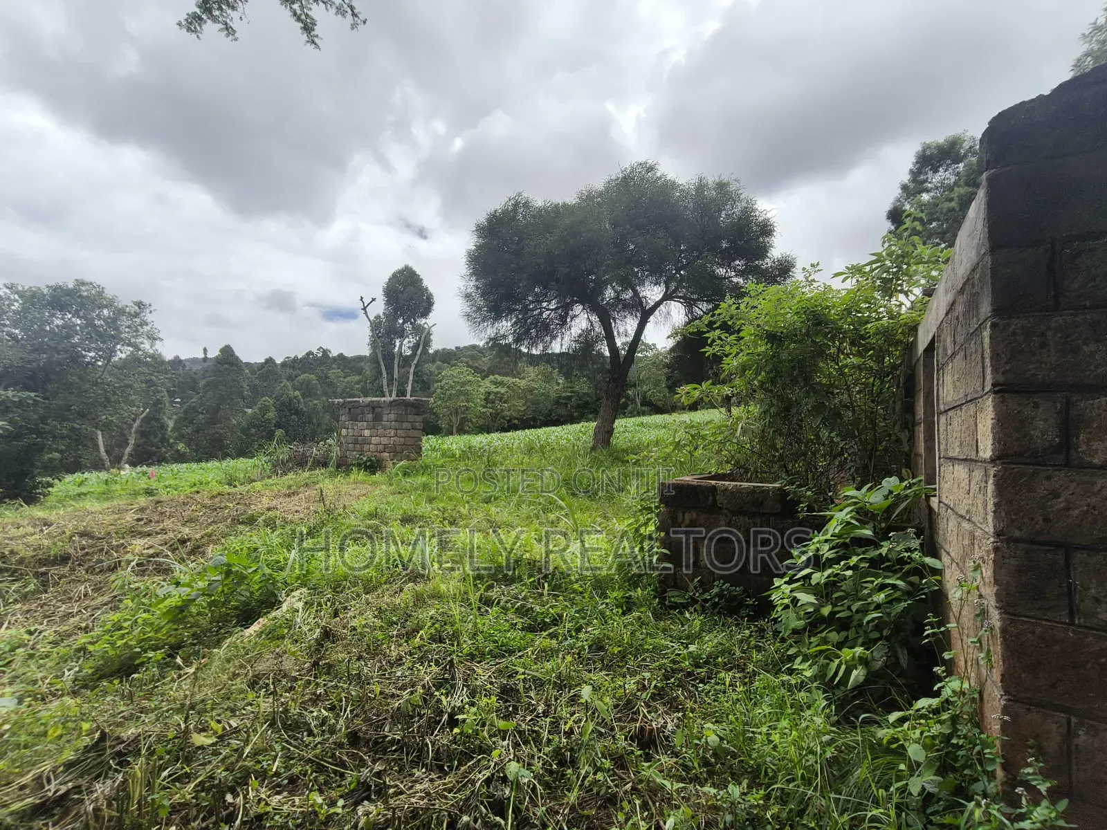 5 Acres of Fertile Farmland in Ngong, Kahara, Upper Matasia in Ngong