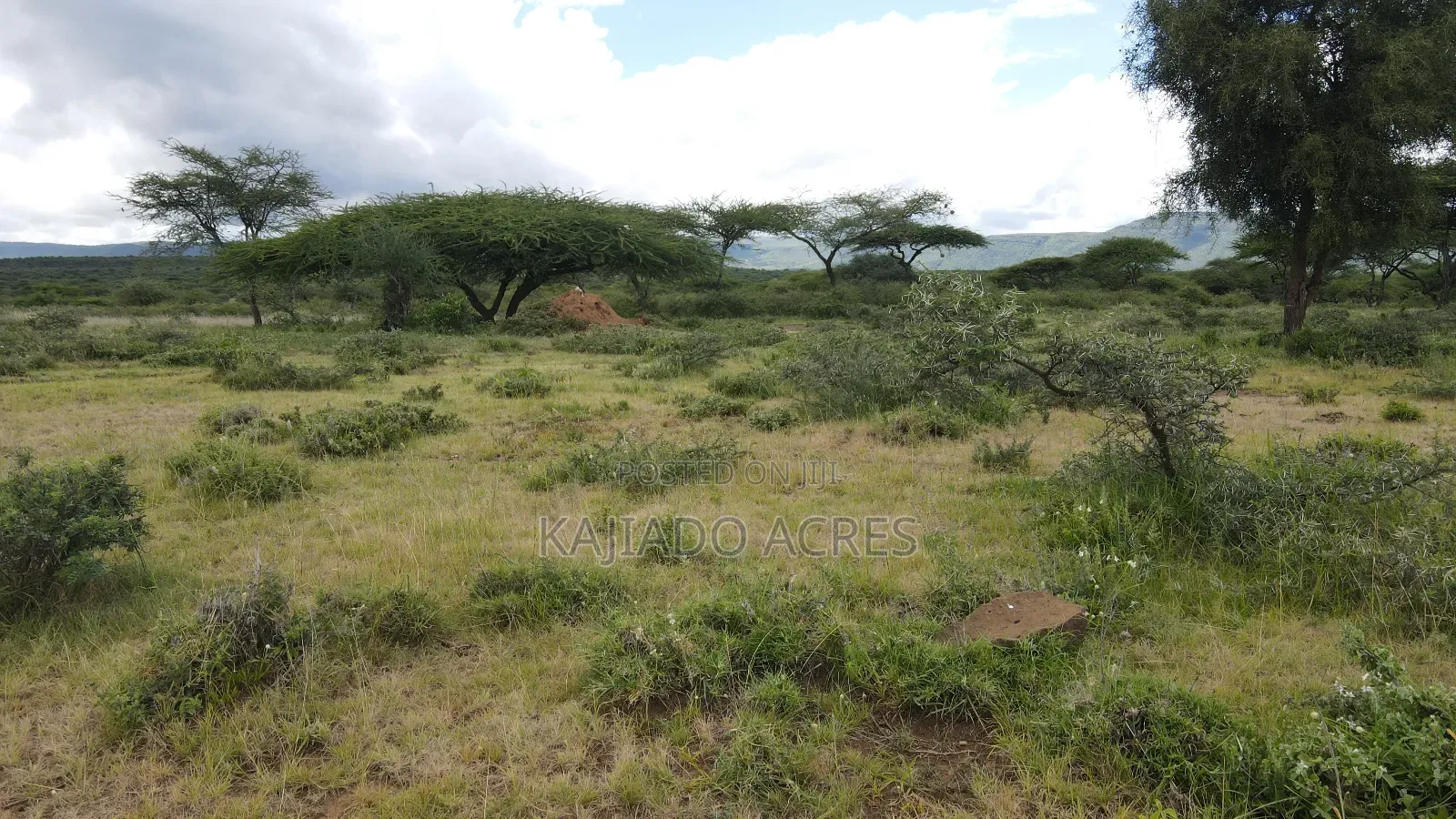 5 Acres Before Najiletown at Per Acre in Ewaso Kendong