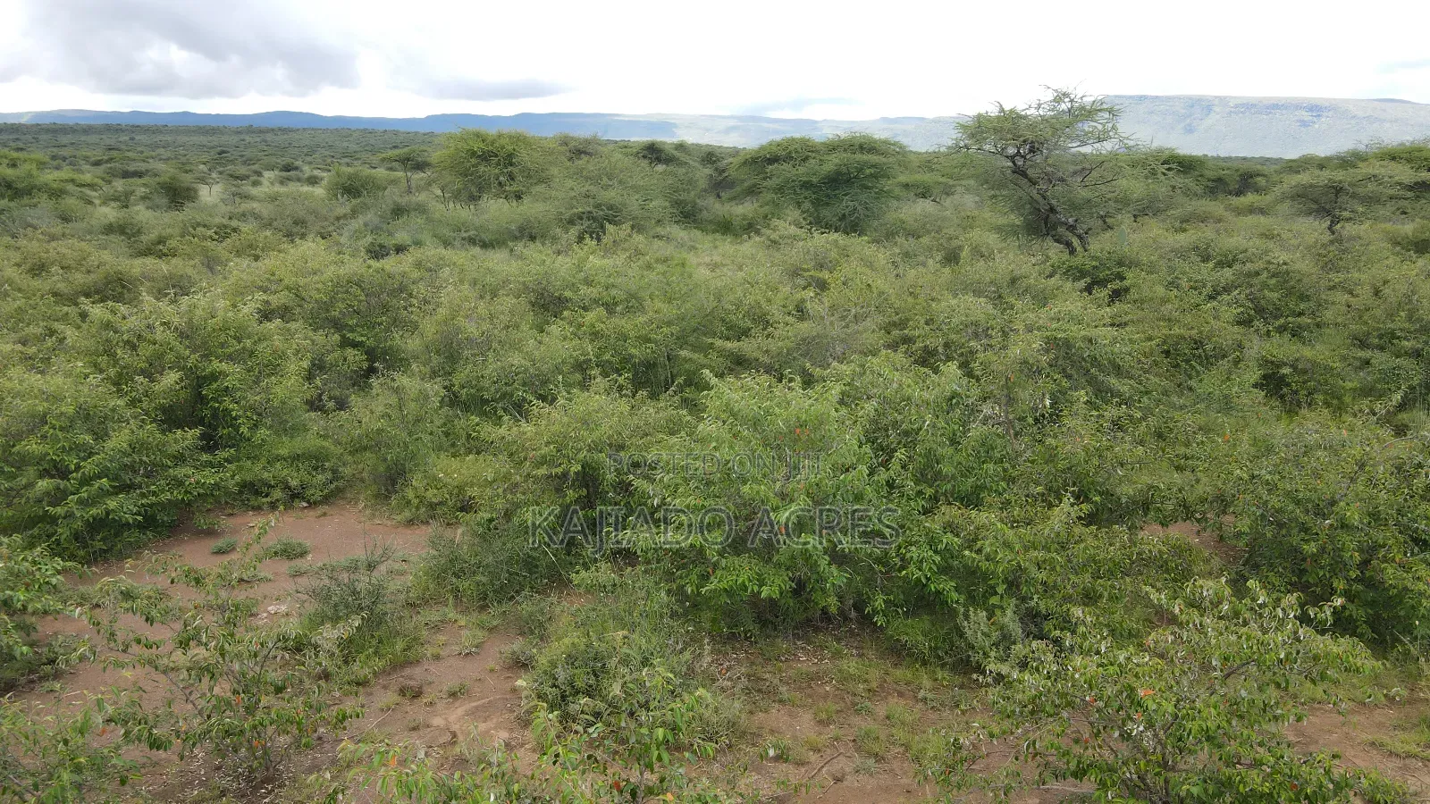 5 Acres Before Najiletown at Per Acre in Ewaso Kendong