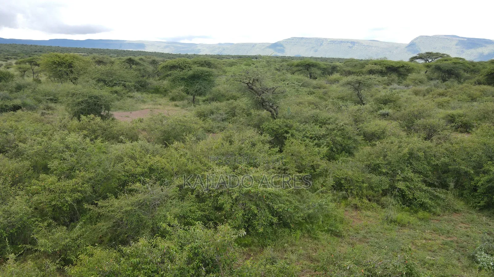 5 Acres Before Najiletown at Per Acre in Ewaso Kendong