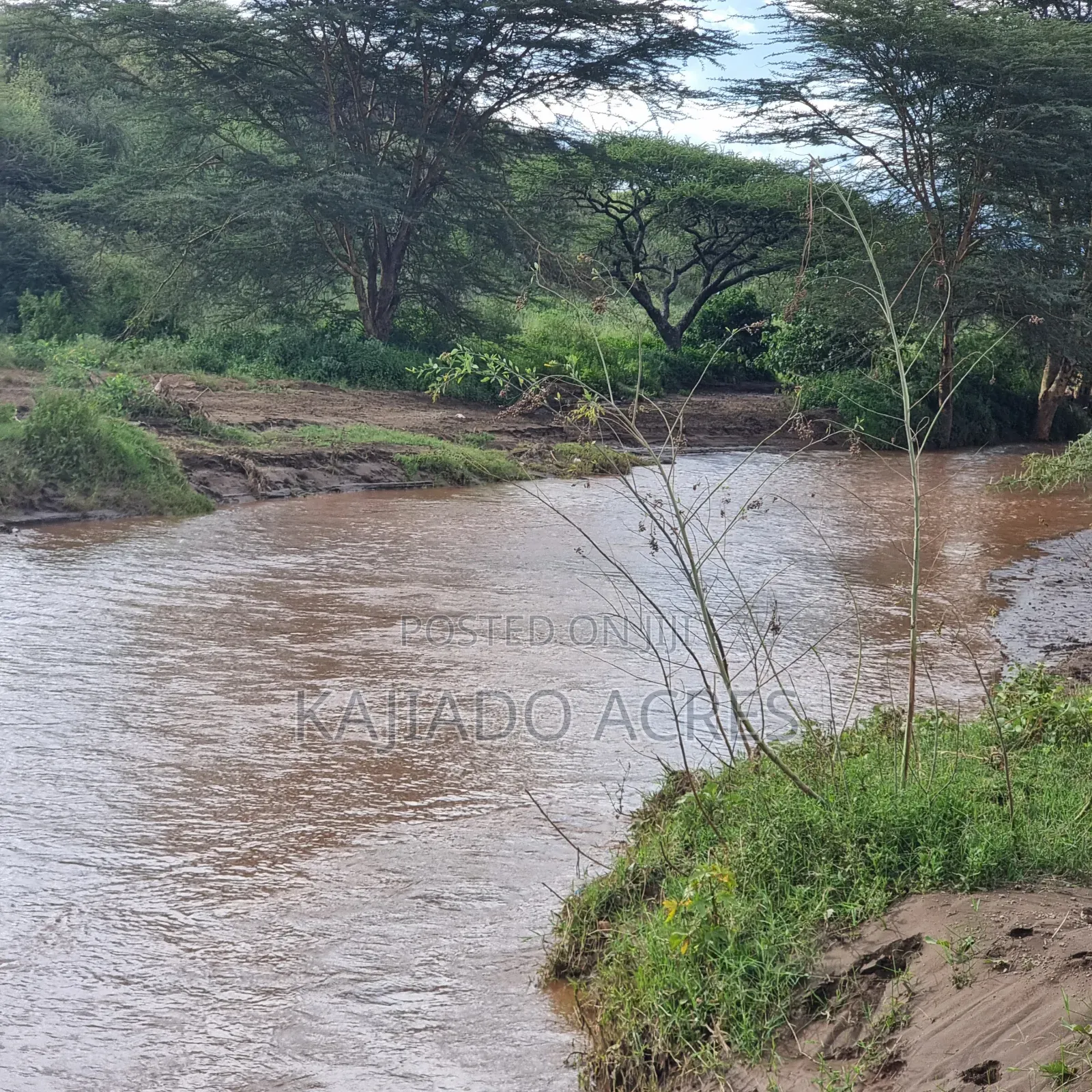 49 Acres Soitamurt, Kajiado West in Ewaso Kendong