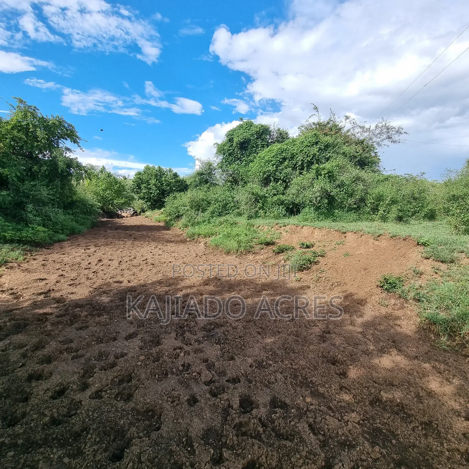 49 Acres Soitamurt, Kajiado West in Ewaso Kendong