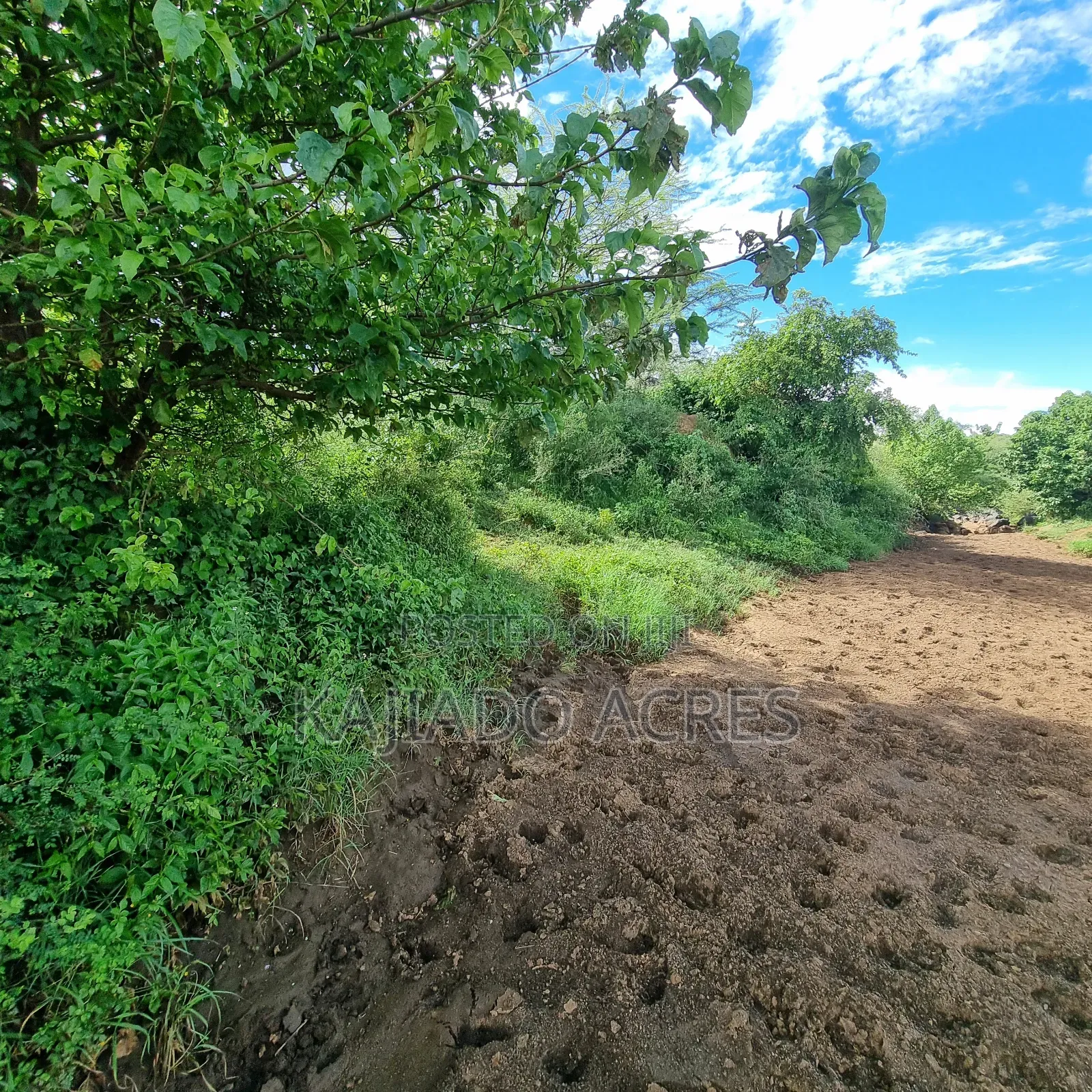49 Acres Soitamurt, Kajiado West in Ewaso Kendong
