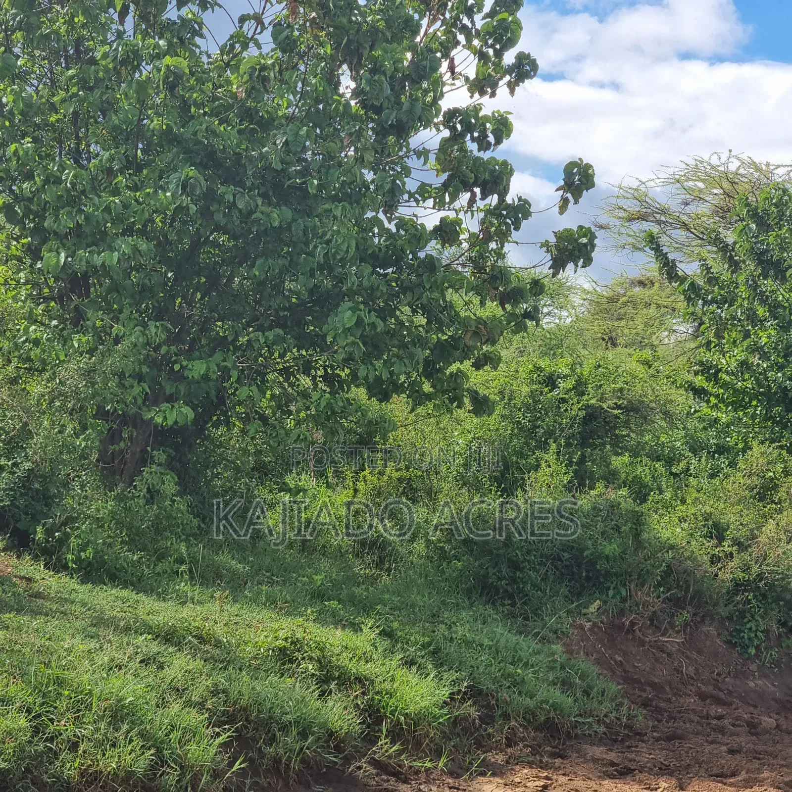49 Acres Soitamurt, Kajiado West in Ewaso Kendong