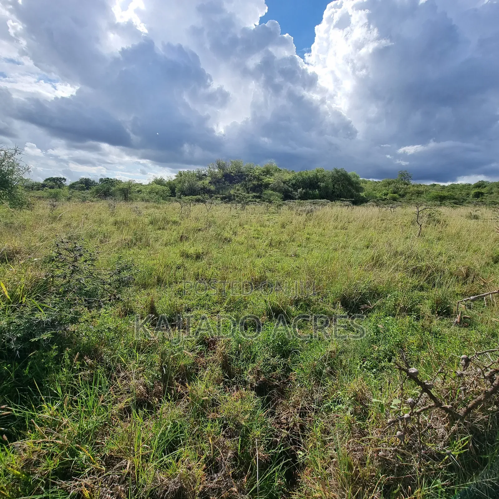 49 Acres Soitamurt, Kajiado West in Ewaso Kendong