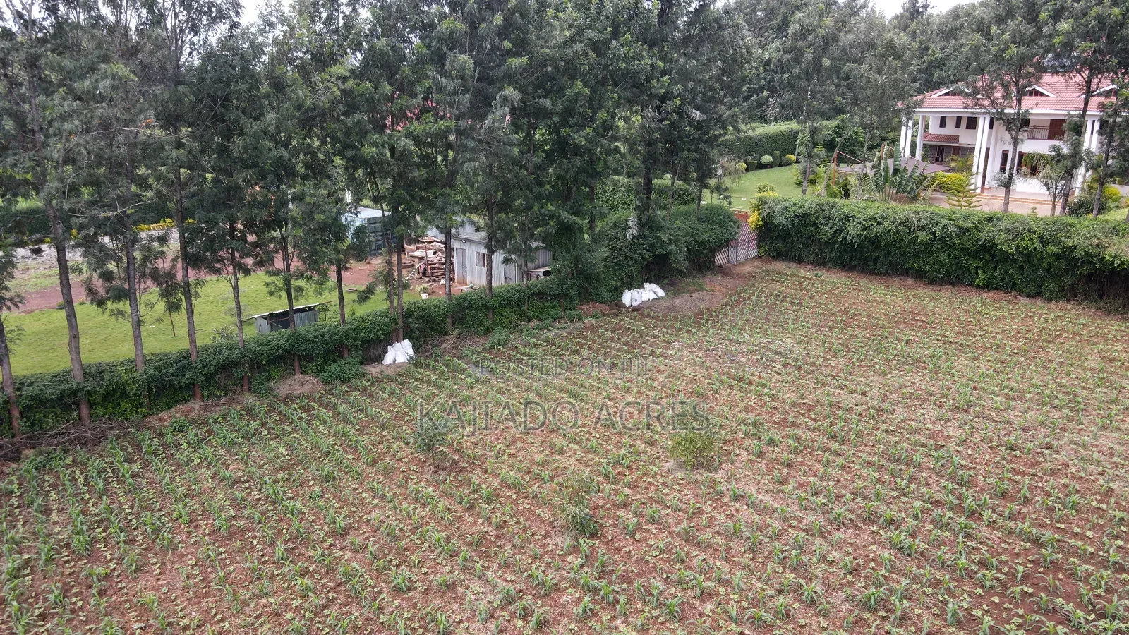 Prime 1 Acre Rhino Road, Karen in Karen