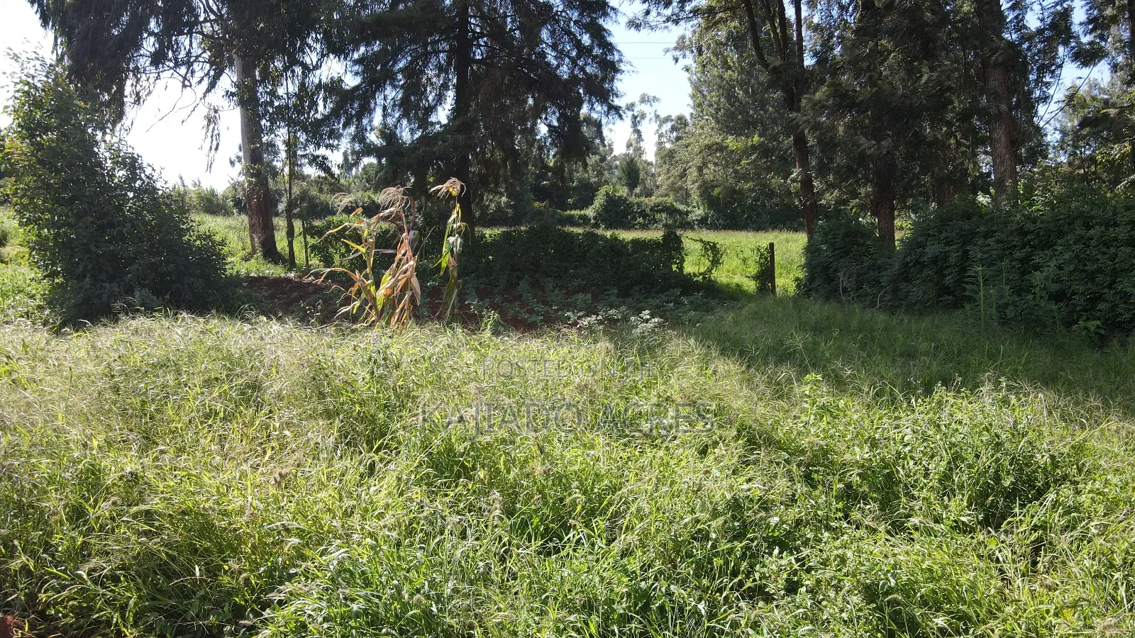 Prime 1/4 Acre Ondiri,Kikuyu at 8m in Kikuyu