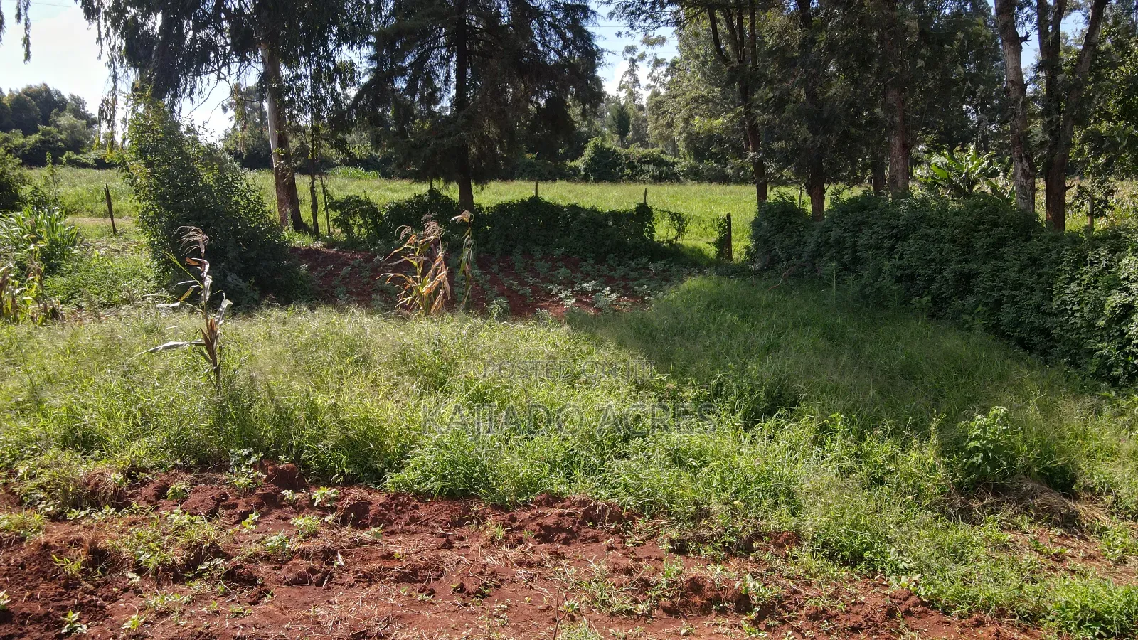 Prime 1/4 Acre Ondiri,Kikuyu at 8m in Kikuyu