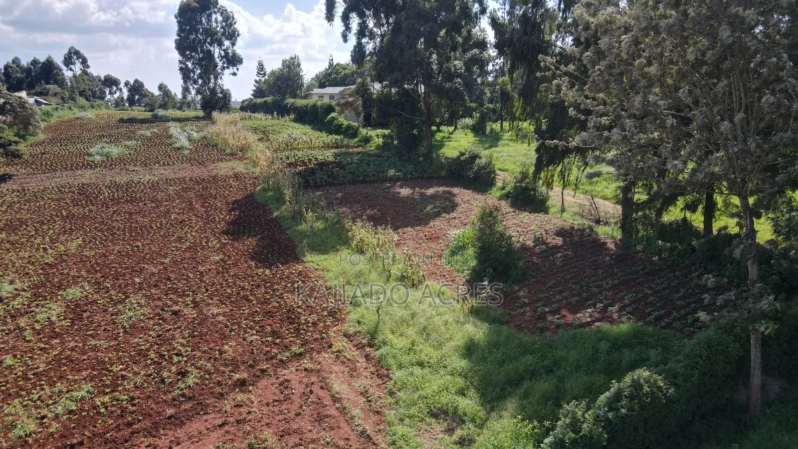 Prime 1/4 Acre Ondiri,Kikuyu at 8m in Kikuyu