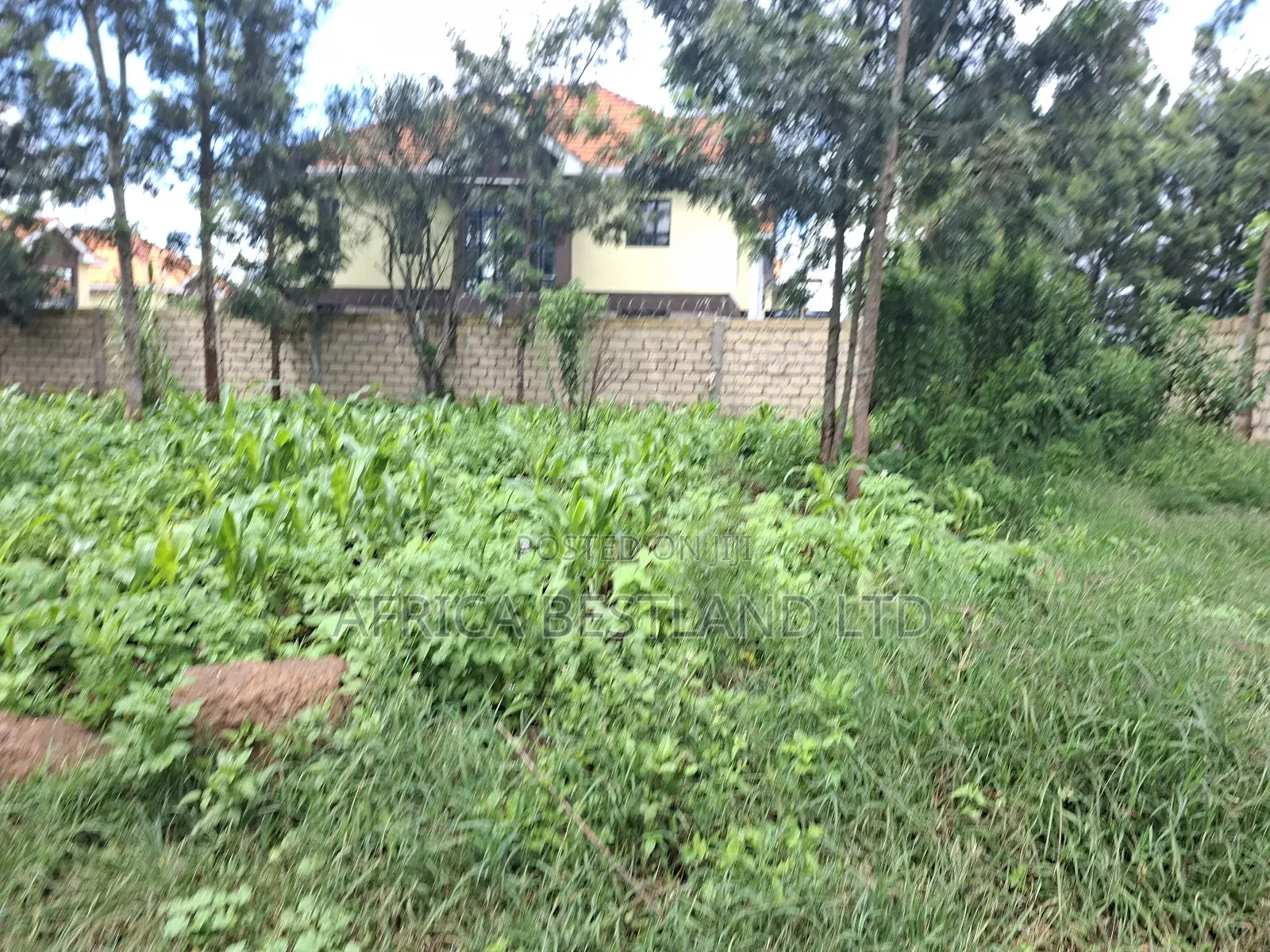 50x100 Available Plot for Sale in Kikuyu Gikambura in Kikuyu