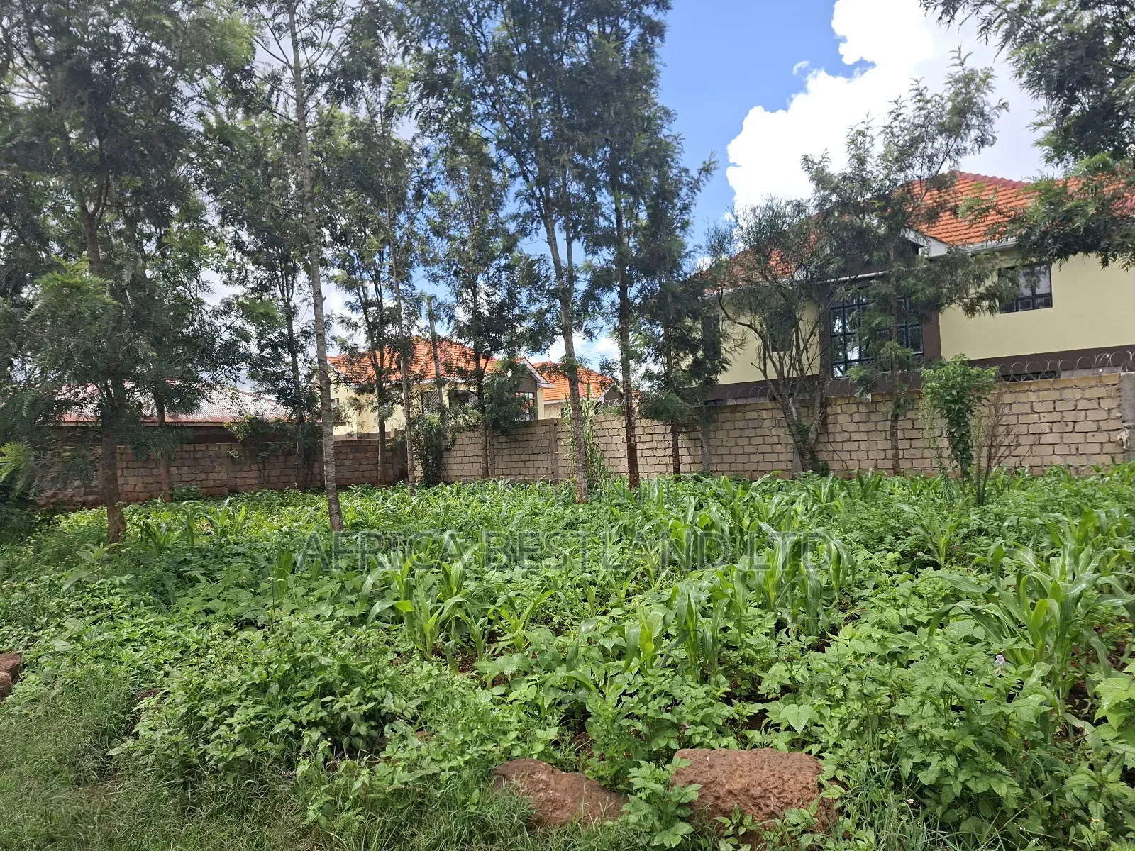 50x100 Available Plot for Sale in Kikuyu Gikambura in Kikuyu