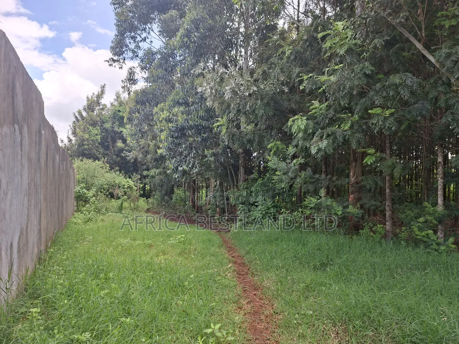 50x100 Available Plot for Sale in Kikuyu Gikambura in Kikuyu