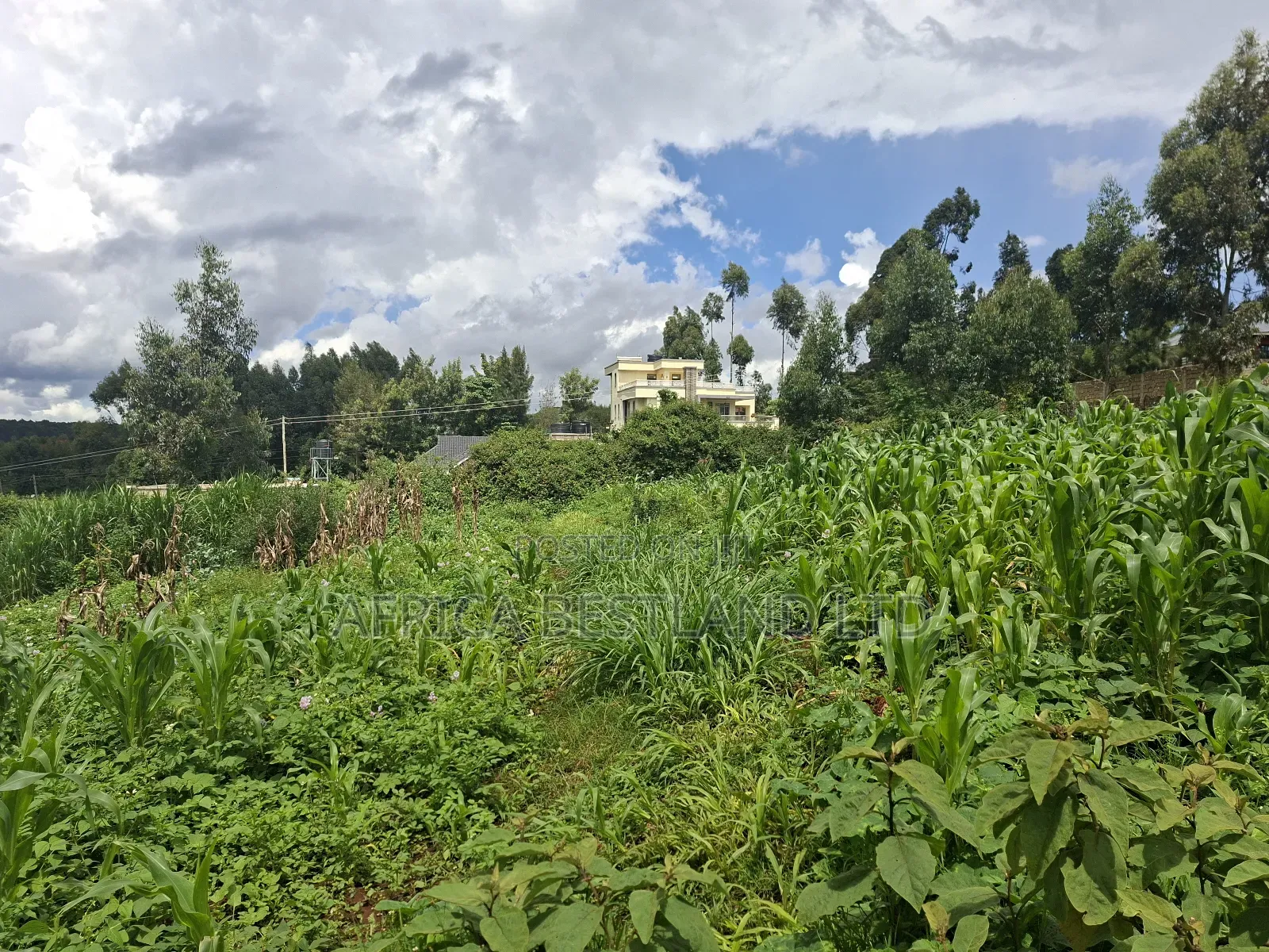 50x100 Available Plot for Sale in Gikambura in Kikuyu