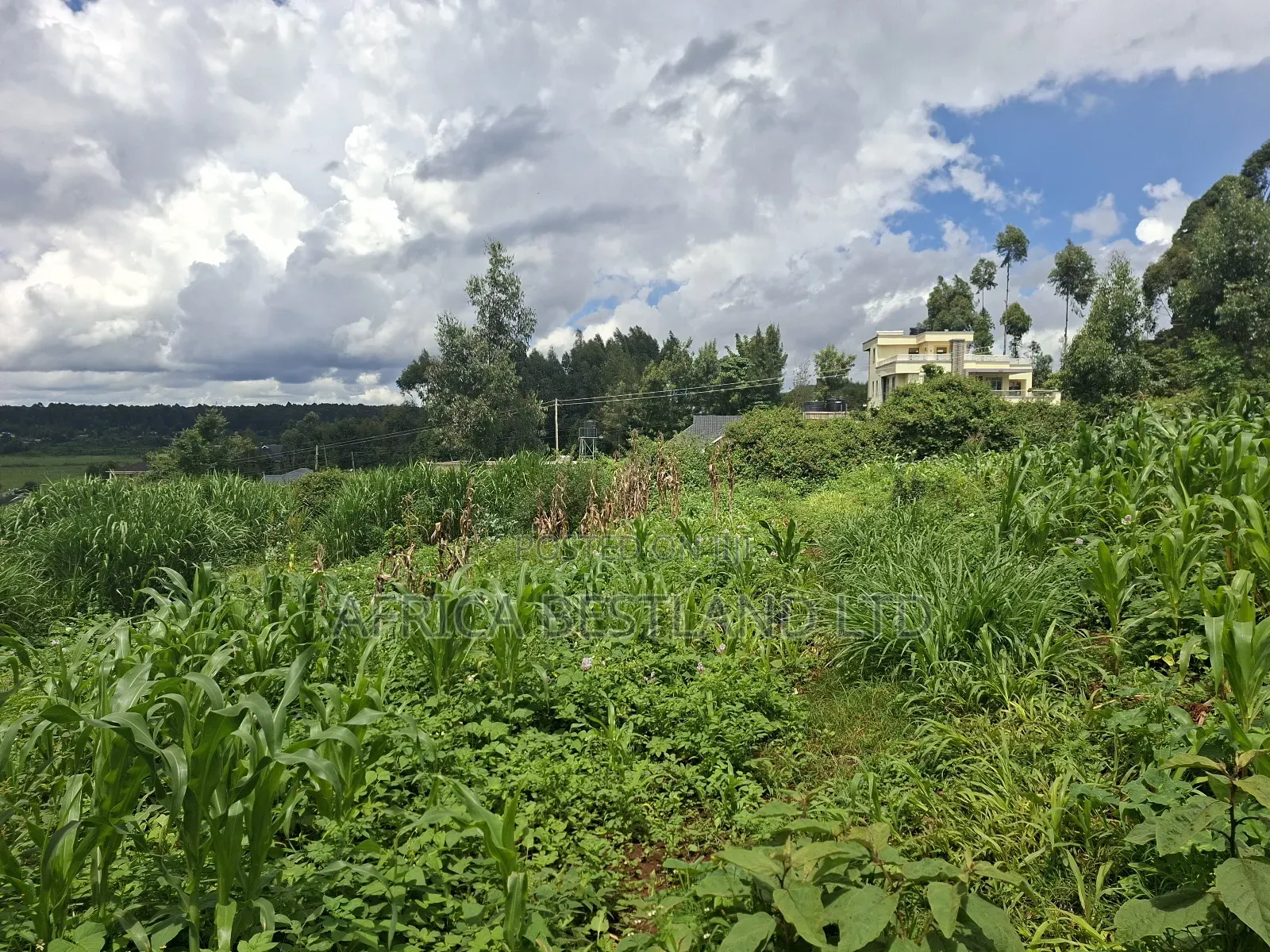 50x100 Available Plot for Sale in Gikambura in Kikuyu