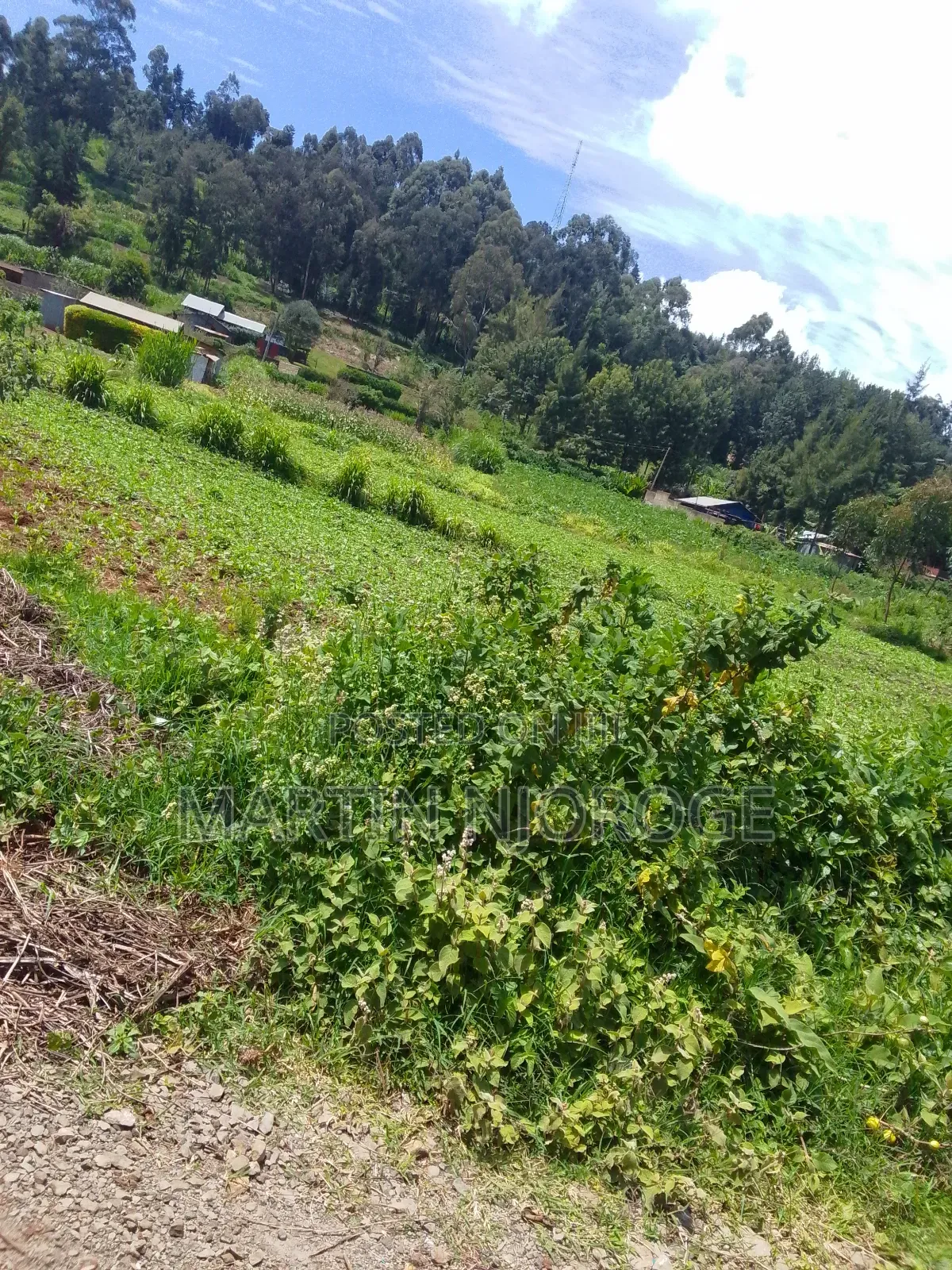 1⁄4 Uplands, Gitithia in Lari/Kirenga