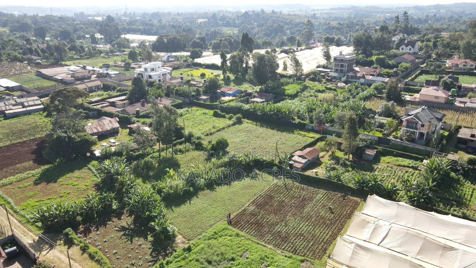 Emergency Sale 1/4 Acre Ondiri , in Kikuyu