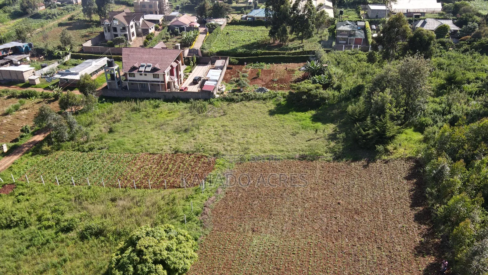 1/8 of an Acre Pieces Ondiri Kikuyu at 4m in Thogoto