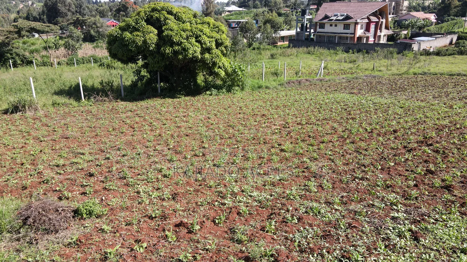 1/8 of an Acre Pieces Ondiri Kikuyu at 4m in Thogoto