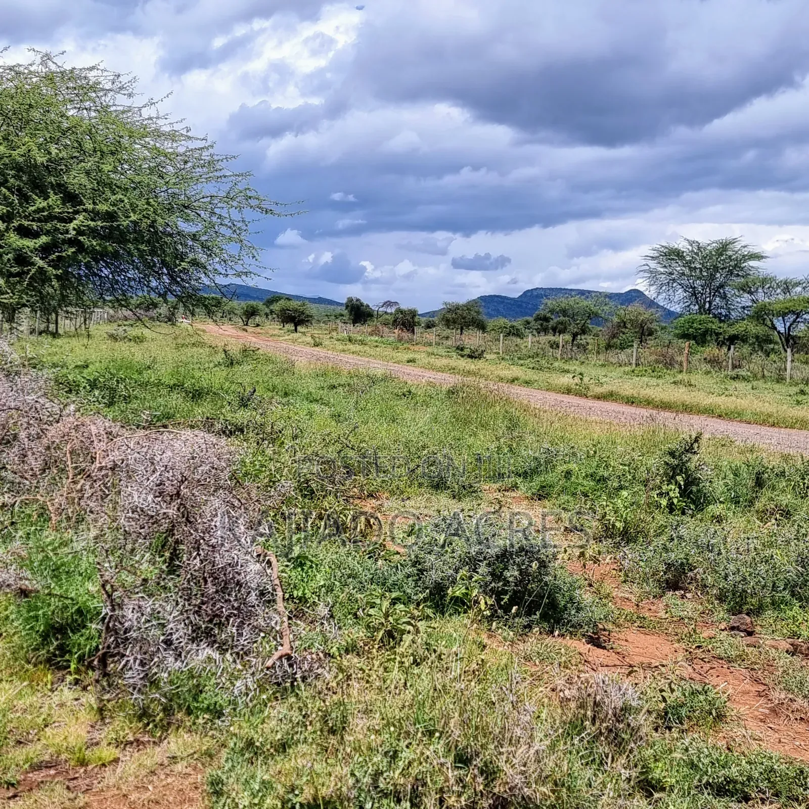 1 Acre Saikeri-Najile Road at  in Ngong