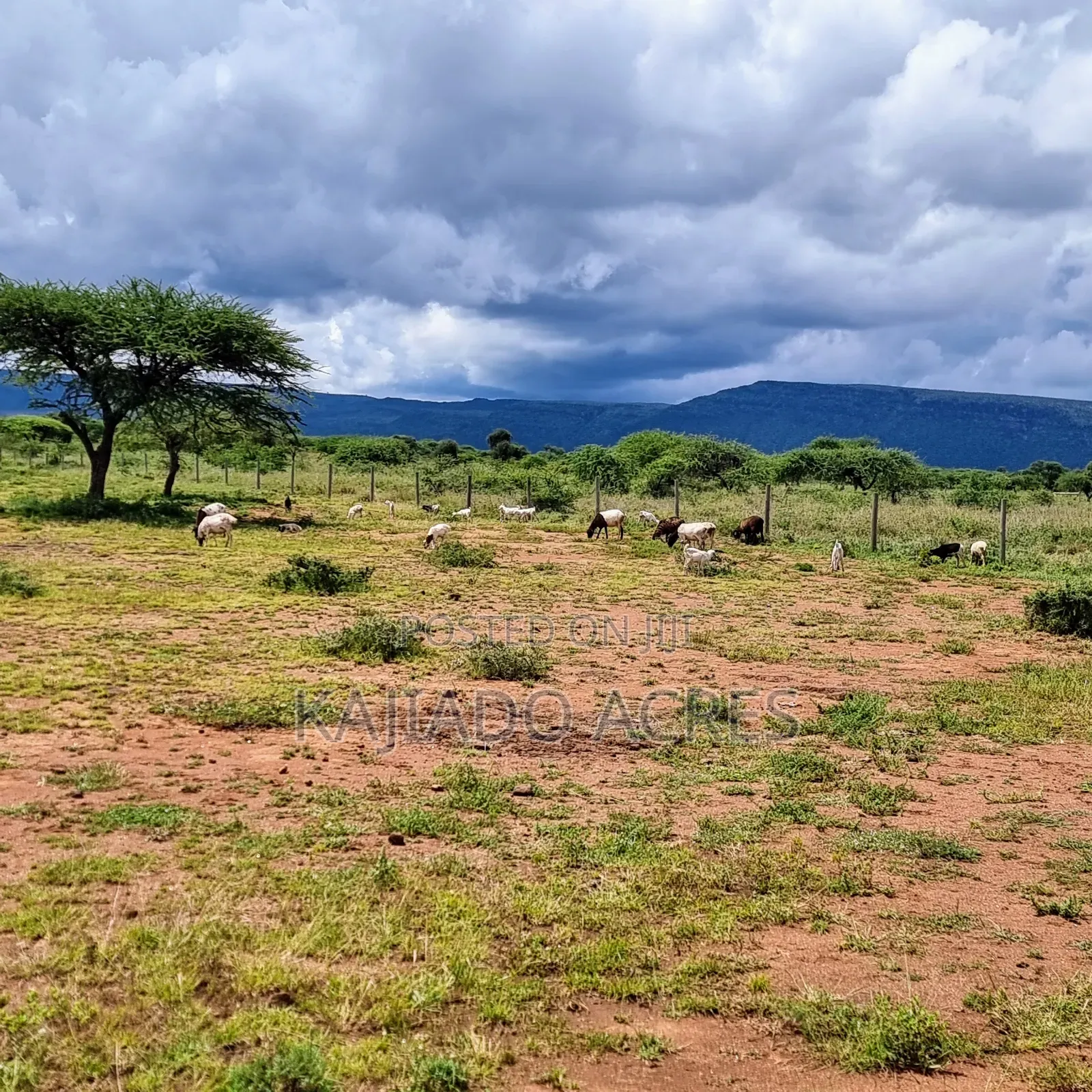 1 Acre Saikeri-Najile Road at  in Ngong