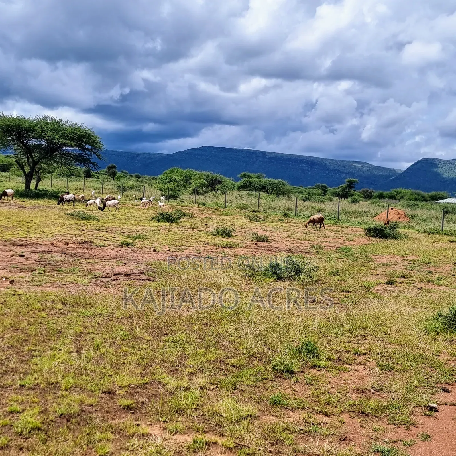 1 Acre Saikeri-Najile Road at  in Ngong