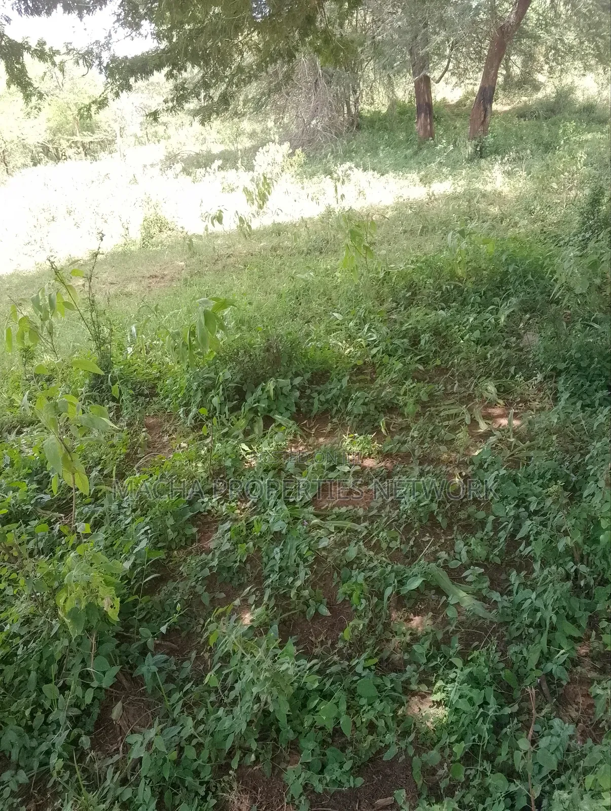 Land -22 Acres.Machakos in Machakos Town