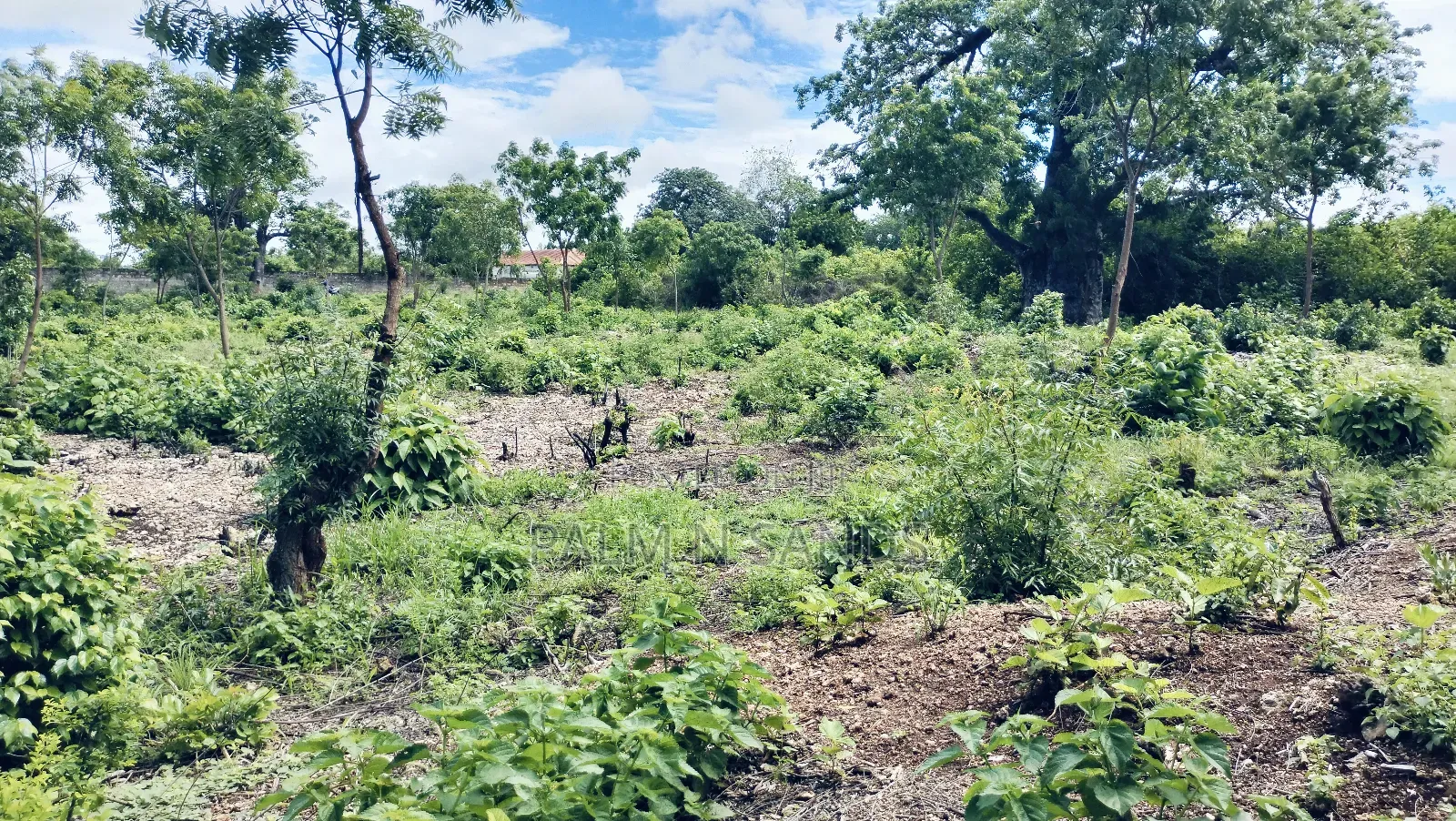 3/4 Acre Second Row Beach Plot!! in Diani