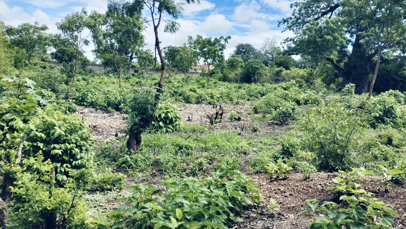 3/4 Acre Second Row Beach Plot!! in Diani