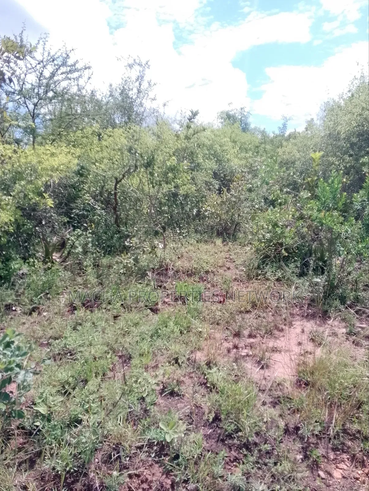 Machakos Land for Sale -1,2 ,3 ,4 or 5 Acre's in Machakos Town