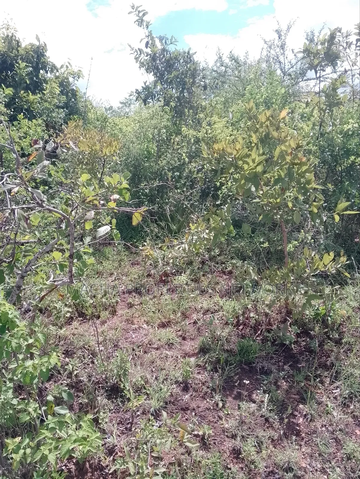 Machakos Land for Sale -1,2 ,3 ,4 or 5 Acre's in Machakos Town