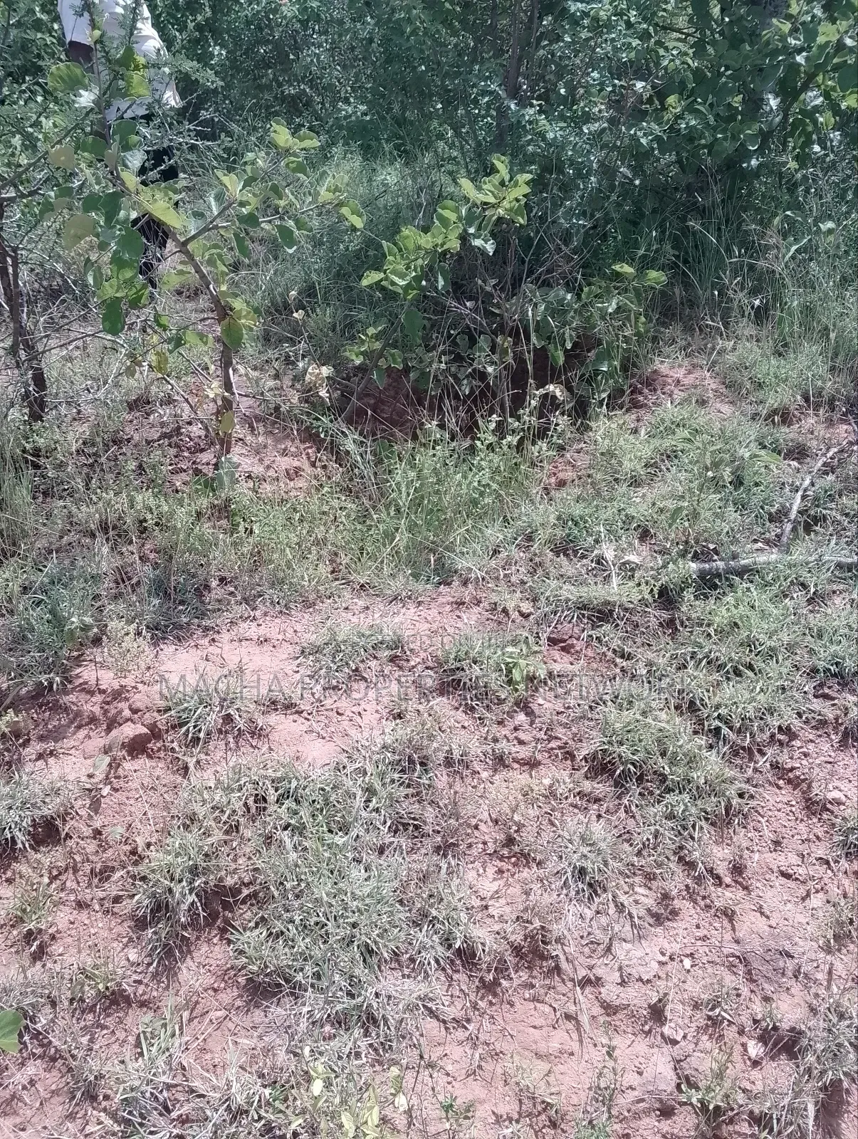 Machakos Land for Sale -1,2 ,3 ,4 or 5 Acre's in Machakos Town