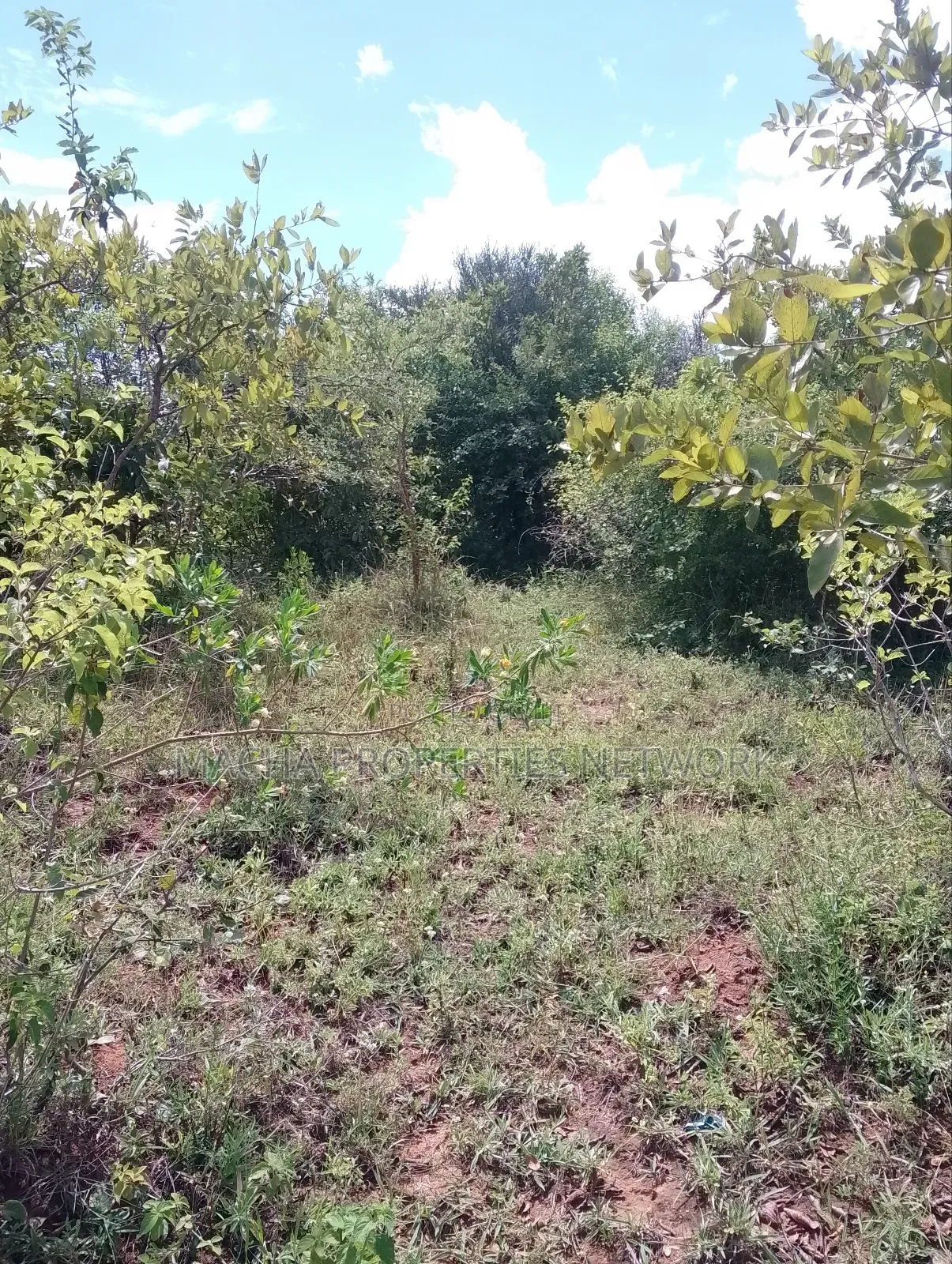 Machakos Land for Sale -1,2 ,3 ,4 or 5 Acre's in Machakos Town