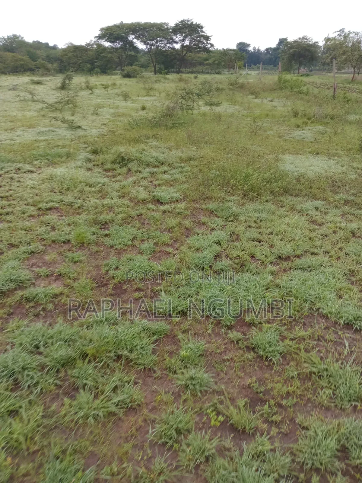 Two (2) Acres Mbiuni Mwala in Machakos Town
