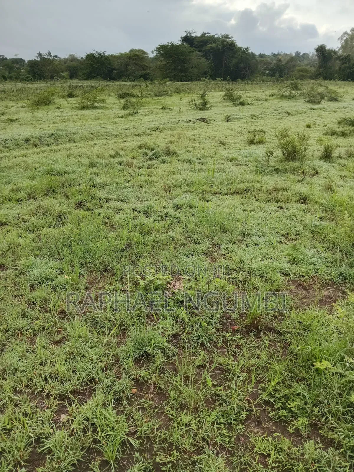 Two (2) Acres Mbiuni Mwala in Machakos Town