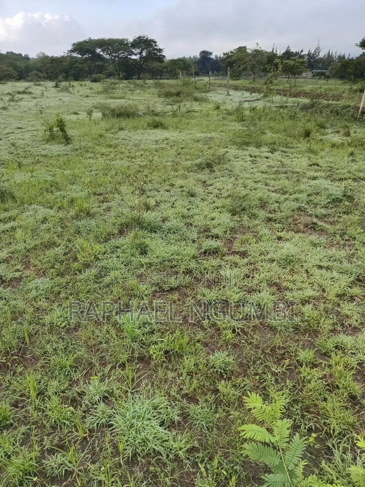 Two (2) Acres Mbiuni Mwala in Machakos Town