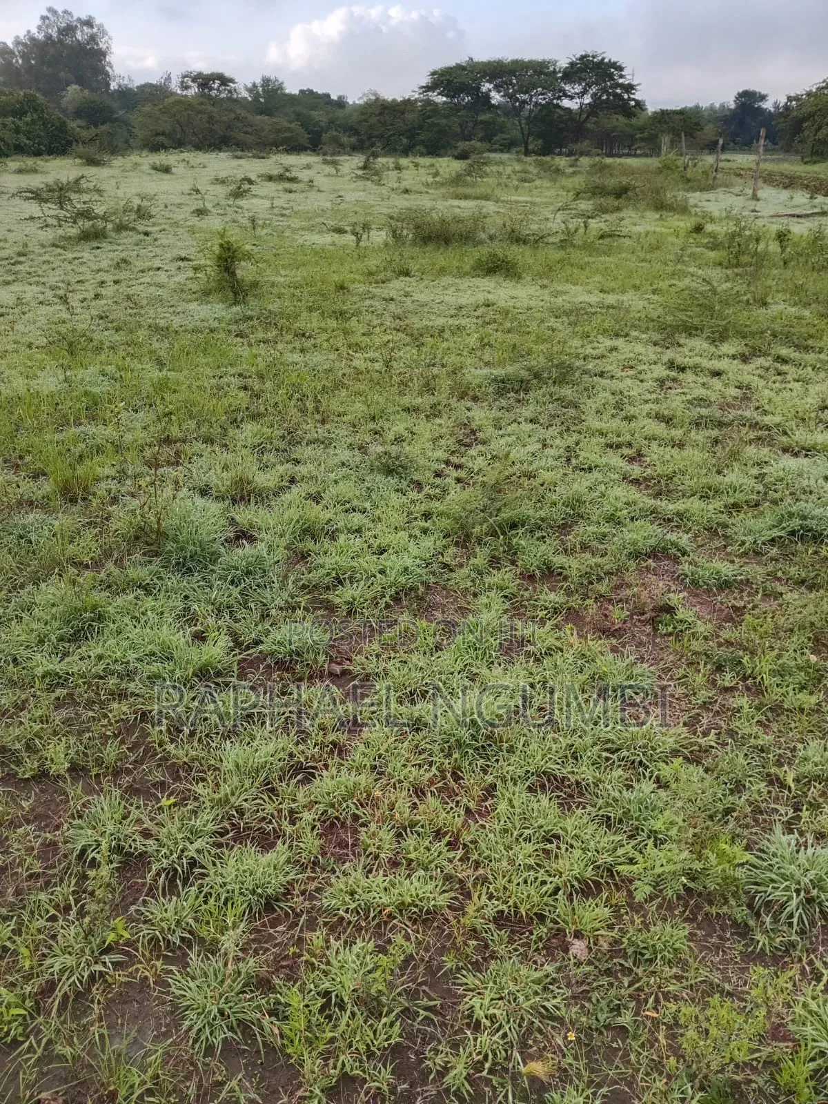 Two (2) Acres Mbiuni Mwala in Machakos Town
