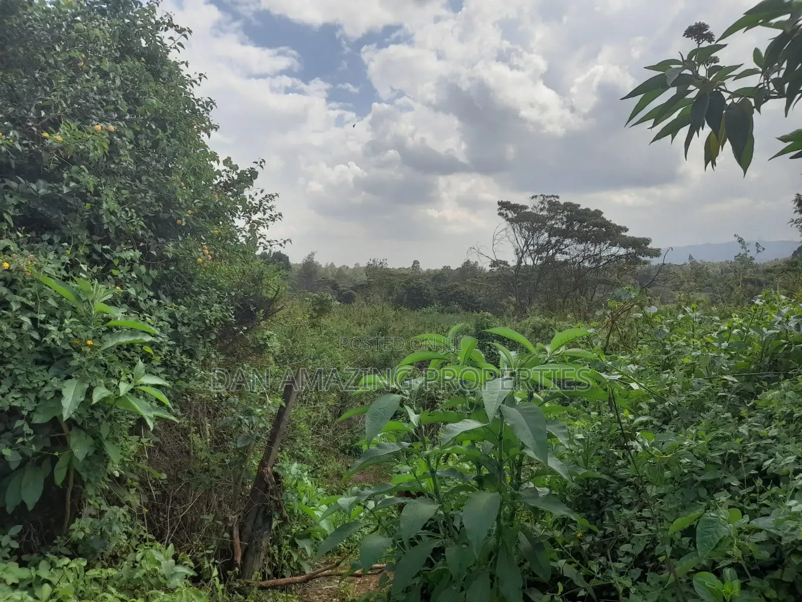 5 Acres Virgin Land for Sale in Karen Resurrection Area in Karen