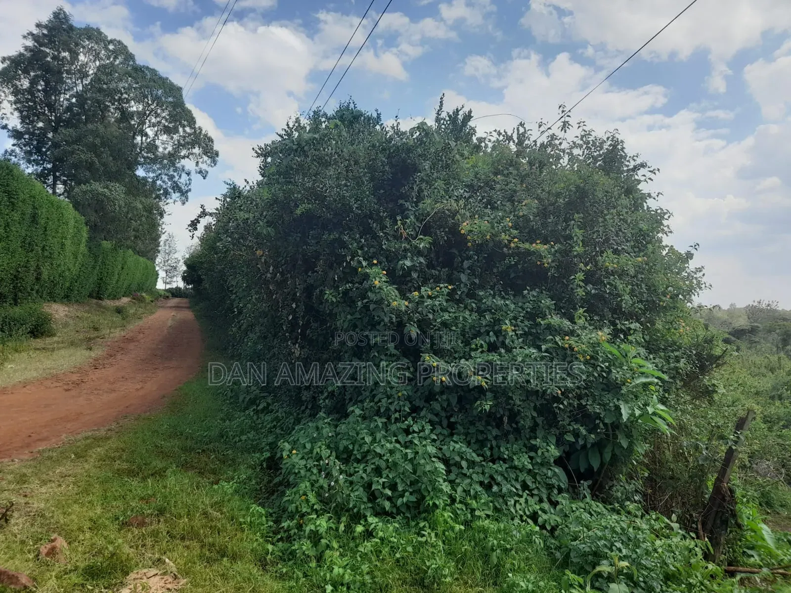 5 Acres Virgin Land for Sale in Karen Resurrection Area in Karen