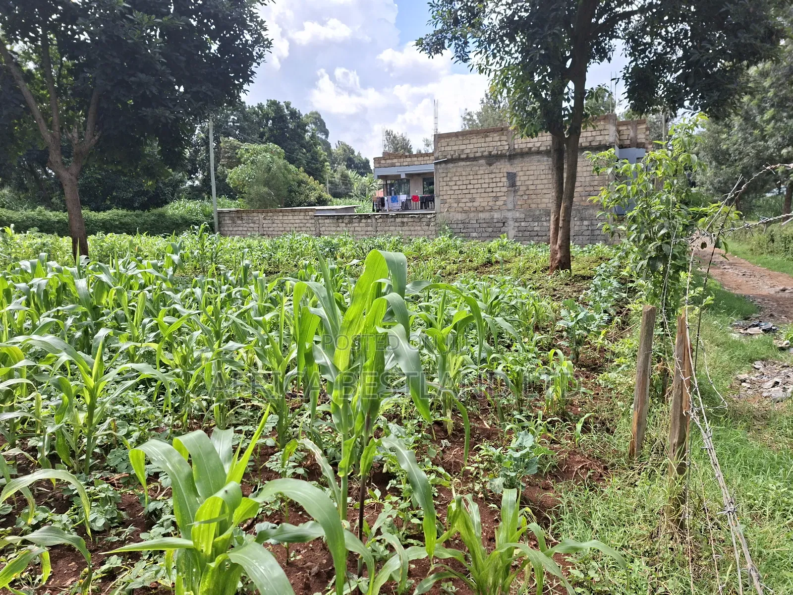 100by100 Plot for Sale in Gathiga Kiambu in Gathiga