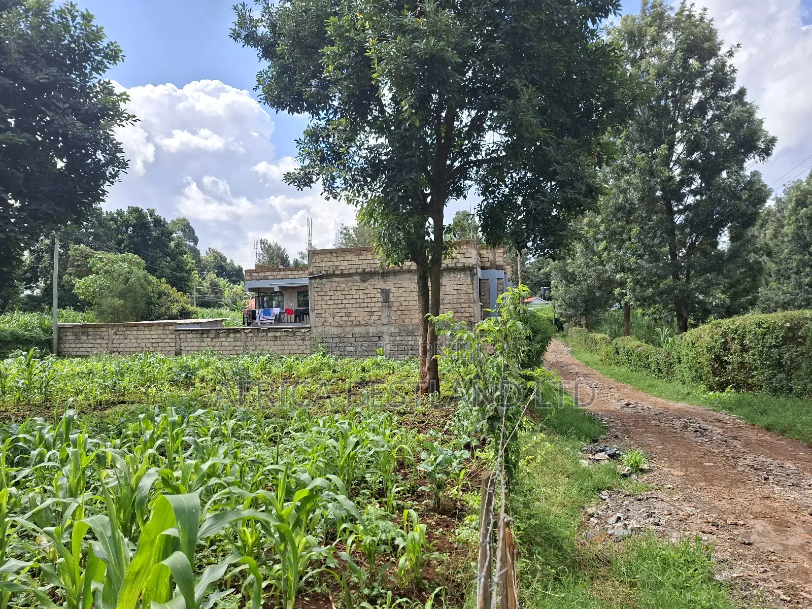 100by100 Plot for Sale in Gathiga Kiambu in Gathiga