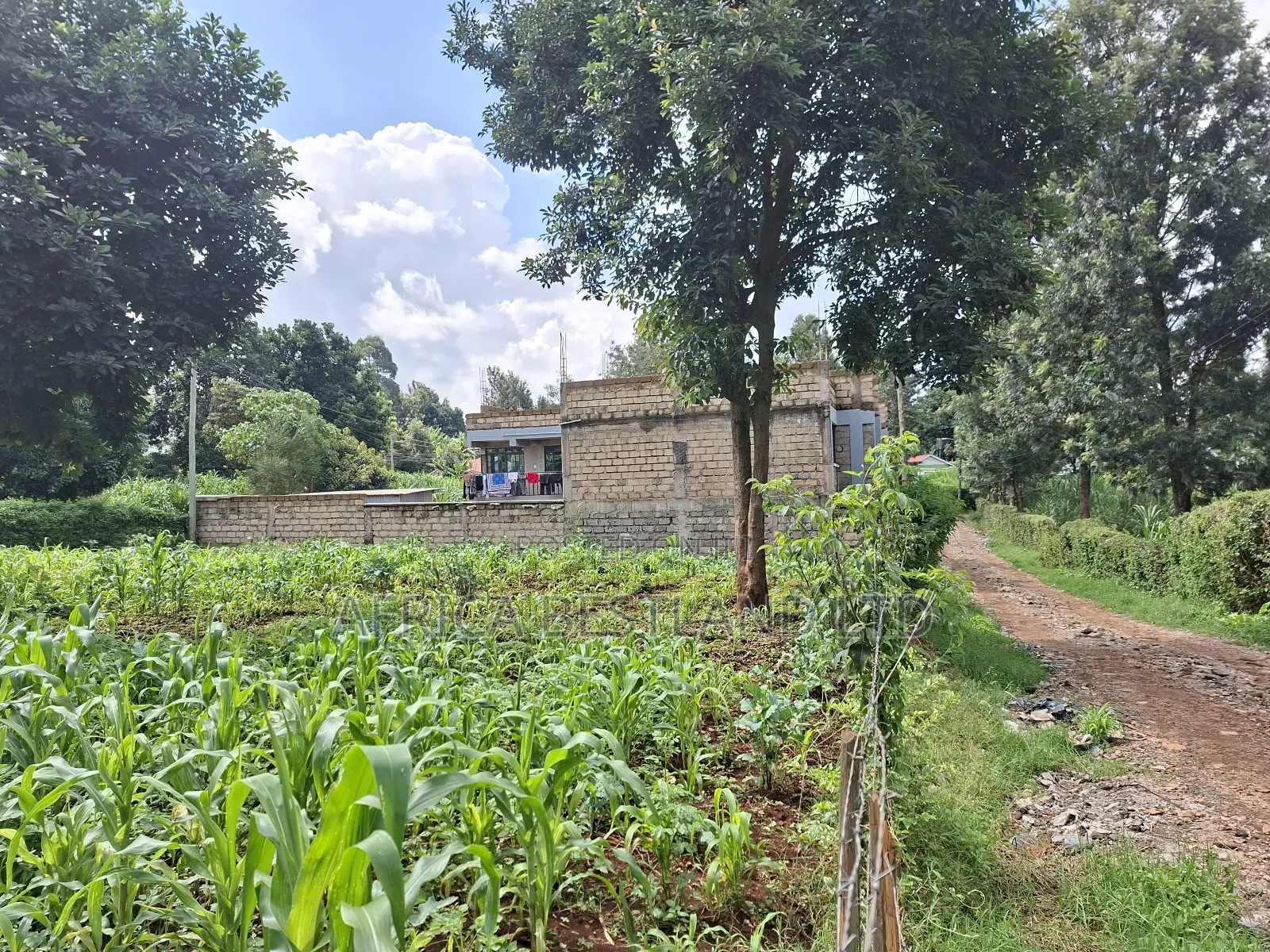 100by100 Plot for Sale in Gathiga Kiambu in Gathiga