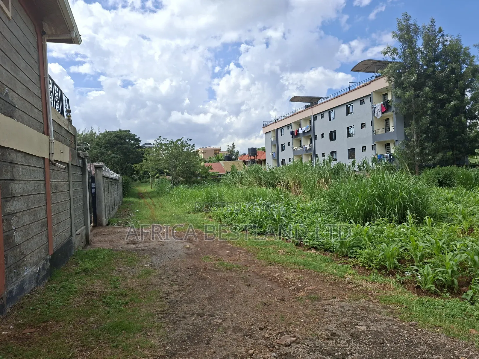50x100 Available Plot for Sale in Gathiga in Gathiga