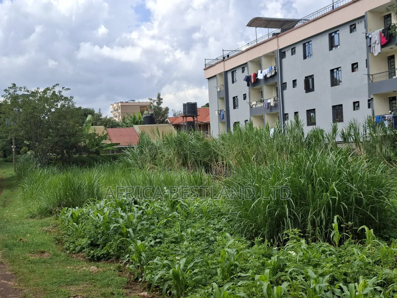50x100 Available Plot for Sale in Gathiga in Gathiga