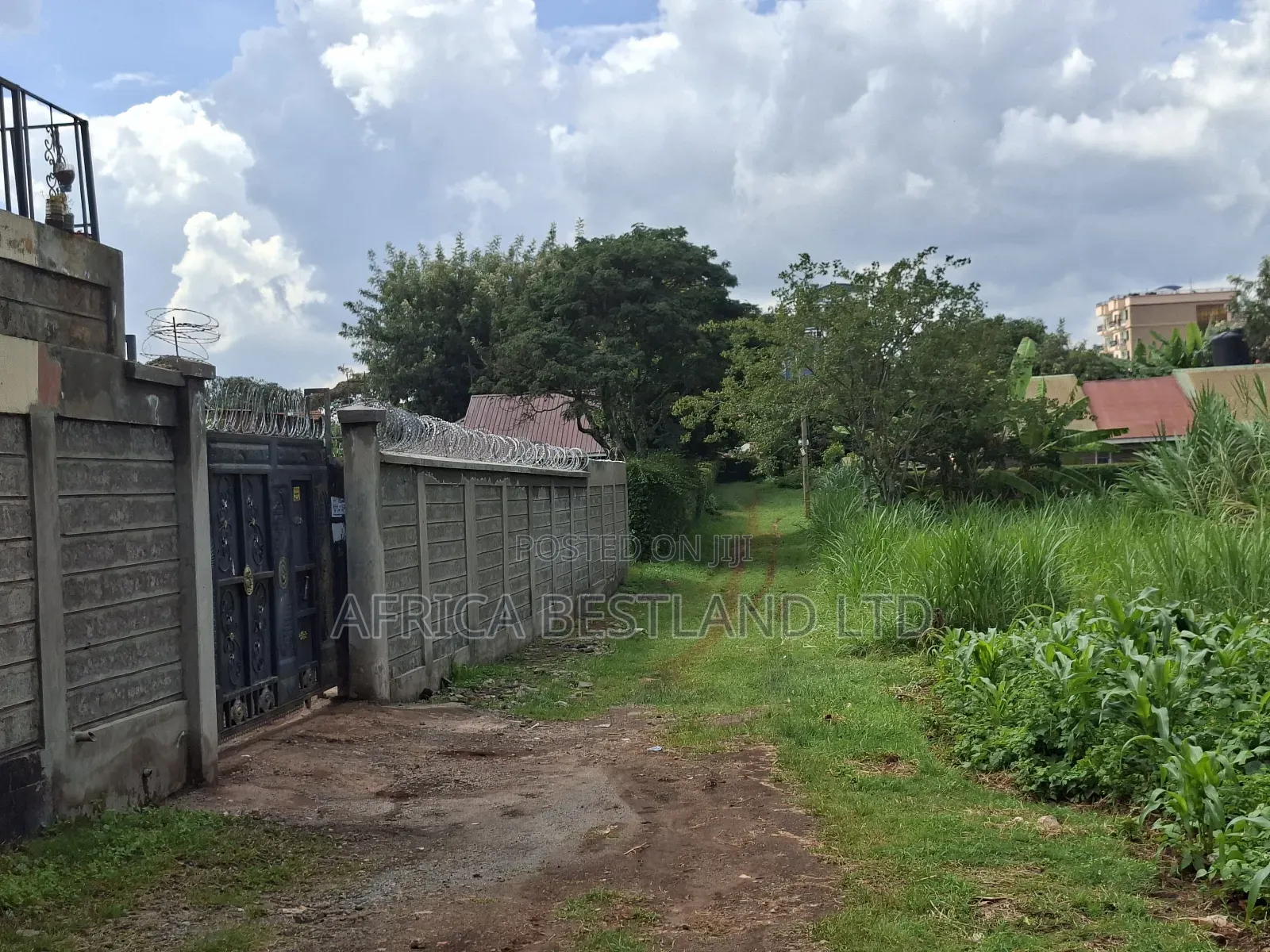 50x100 Available Plot for Sale in Gathiga in Gathiga