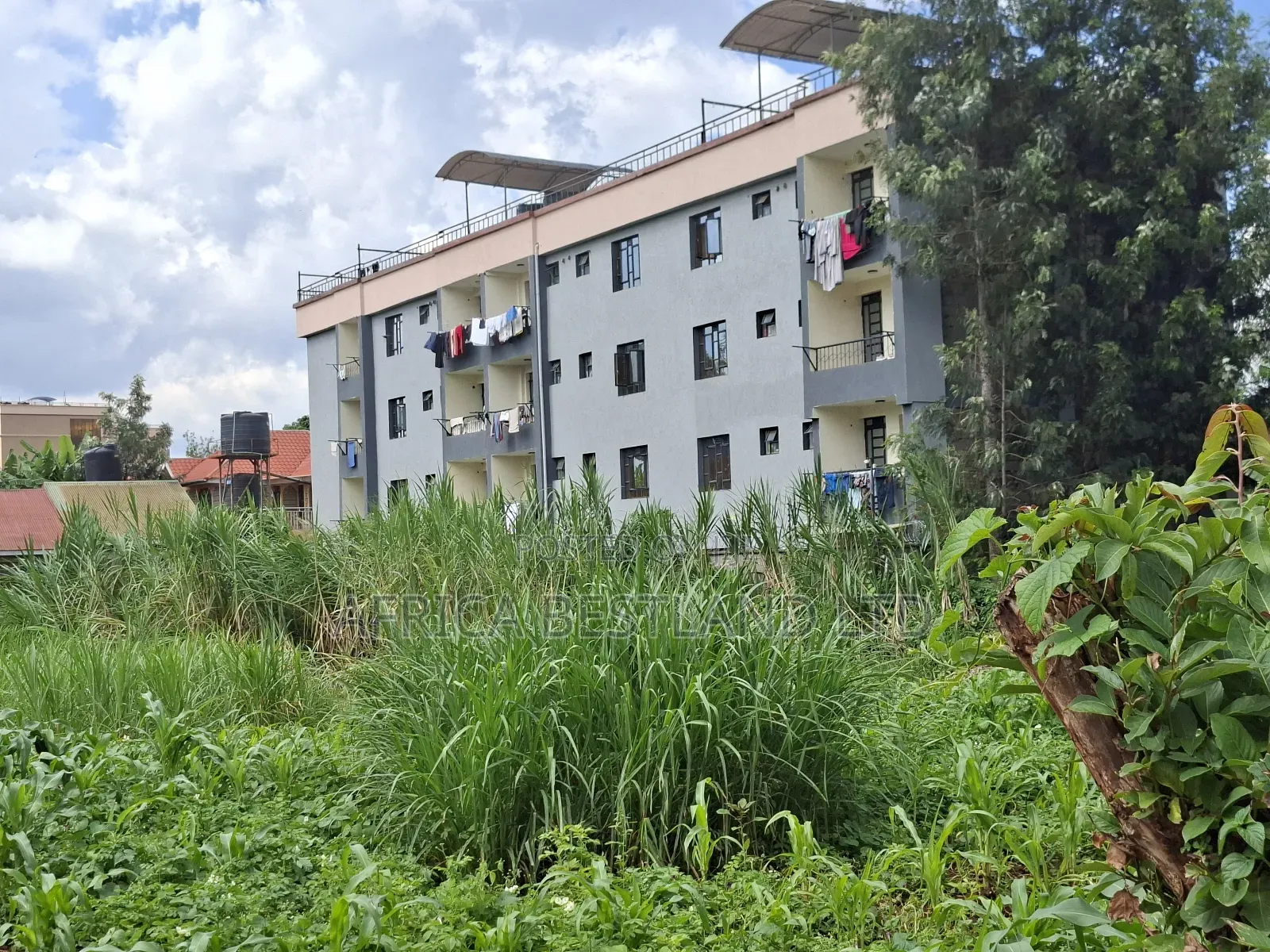 50x100 Available Plot for Sale in Gathiga in Gathiga